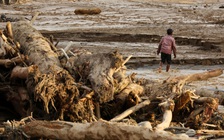 Nghiên cứu chỉ ra nguyên nhân đợt lũ lụt chết người tại châu Á vừa qua