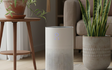 Bụi mịn làm phổi suy yếu trong âm thầm như thế nào?