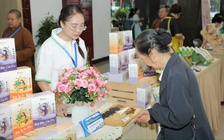 Số doanh nghiệp tăng kỷ lục