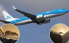 Chuột khổng lồ gây sợ hãi trên chuyến bay