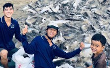 Nghĩa hiệp đời thường: Những chàng trai đưa cá “khủng” trở về thiên nhiên