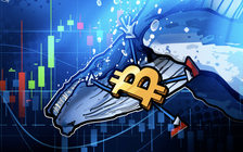 Giá Bitcoin hôm nay 16.12.2025: BTC sập sâu, nhà đầu tư tháo chạy