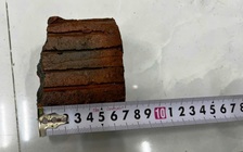 Quảng Ngãi: Bắt người đàn ông ném gạch khiến bé trai 12 tuổi bị thương