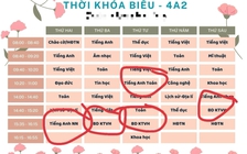 Yêu cầu rà soát việc dạy học liên kết trong các trường công lập