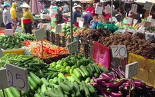Giá rau củ hạ nhiệt, dần ổn định