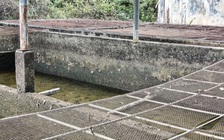 Quảng Ngãi: Hệ thống cấp nước tự chảy xuống cấp, 4.000 người dân 'khát' nước sạch