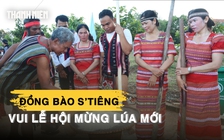 Đồng bào S’tiêng vui lễ hội mừng lúa mới trong tiếng giã gạo, cồng chiêng