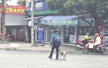 Ba ngày đi bộ xin việc khắp TP.HCM, người đàn ông dắt chó nhất quyết không nhận tiền