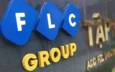 FLC bị hủy tư cách công ty đại chúng, người đang 'ôm' cổ phiếu sẽ ra sao?