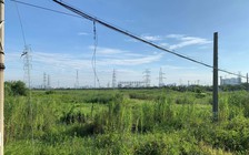 TP.HCM sẽ điều chỉnh tăng giá đất nông nghiệp