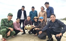 Quảng Trị: Thả rùa quý hiếm bị vướng lưới về lại biển