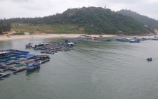 Người dân muốn tiếp tục nuôi trồng thủy sản 'có kiểm soát' trên đầm Đề Gi