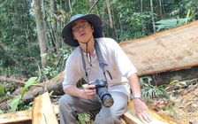 Thời xa vắng và tâm tư 'mình lạc hậu mỗi ngày'