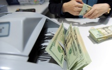 Giá USD hôm nay 29.12.2025: Đô tự do đứng trên 27.000 đồng