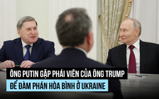Con rể, phái viên của ông Trump đến gặp ông Putin đàm phán về Ukraine
