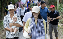 Đầu năm về làng du lịch mới toanh ở miền Tây 'thắt lá, bắt vịt'