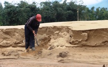 Đà Nẵng: Gần 600.000 m³ cát tràn vào đất sản xuất sau mưa lũ lịch sử