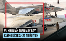 Vũ khí bí ẩn trên cường kích Su-25 Triều Tiên