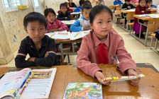 Học sinh Việt Nam dẫn đầu Đông Nam Á về điểm toán và năng lực đọc hiểu