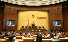 Chấm dứt lạm dụng phiếu lý lịch tư pháp