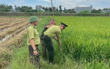 Cấp tốc tháo gỡ hàng trăm mét bẫy lưới các loài chim hoang dã ở TP.HCM