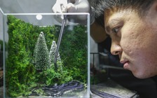 Thu tiền tỉ mỗi tháng từ khu vườn Giáng sinh thu nhỏ