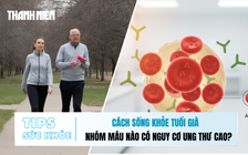 Bản tin sức khỏe ngày 8.12: Cách sống khỏe tuổi già | Nhóm máu nào có nguy cơ ung thư cao?