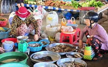 Hộ kinh doanh lại bối rối với hóa đơn