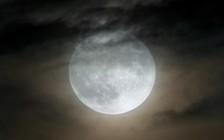 Kỳ thú tháng 2: Người Việt ngắm được Trăng Tuyết ngay sau Tết Nguyên đán