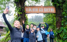 Trekking Vườn quốc gia Bạch Mã: Không lấy gì ngoài những bức ảnh đẹp!