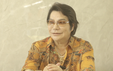 Nghệ sĩ Linh Tâm tuổi 63: Tậu nhà mới ở Việt Nam, trăn trở về cải lương