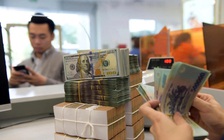 Tại sao doanh nghiệp FDI báo lỗ ngày càng tăng?