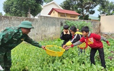 Rau xanh biên phòng trong bữa ăn bán trú của học sinh biên giới