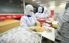 Không để vạ lây từ chiến tranh thương mại