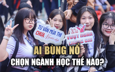 AI bùng nổ, chọn ngành học như thế nào?