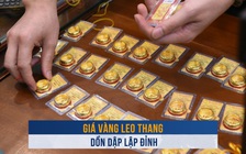 Biến động vàng ngày 13.3: Giá vàng leo thang, SJC và vàng nhẫn dồn dập lập đỉnh