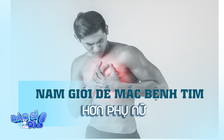 Lý do nam giới dễ mắc bệnh tim hơn phụ nữ