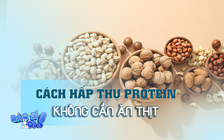 Làm thế nào để hấp thụ protein mà không cần ăn thịt?