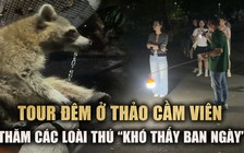 Khám phá tour tham quan thú chuyên hoạt động về đêm ở Thảo Cầm Viên