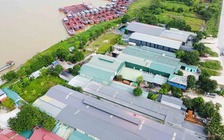 Hà Nội: Hàng loạt vi phạm về đê điều chưa được xử lý