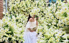 Với hơn 2.000 bông loa kèn, góc nhà biến thành vườn hoa 'độc nhất'