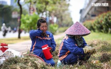 Đông Nam bộ kết thúc đợt nắng nóng sau 3 ngày nữa