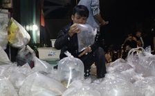 Chợ cá cảnh 'âm phủ' ở TP.HCM: Phiên chợ của phận đời mưu sinh