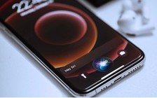 Apple đầu tư vào các máy chủ Nvidia để phát triển AI