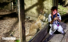 Thảo Cầm Viên Sài Gòn làm tour đêm có khiến 'thú mất ngủ'?