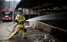 Cháy rừng tồi tệ nhất lịch sử Hàn Quốc