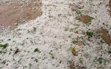 Không khí lạnh tràn về miền Bắc, cảnh báo thiên tai