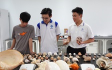 Bộ sưu tập hơn 100 loài ốc biển độc đáo của chàng sinh viên miền Tây