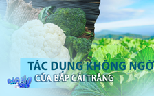 Ăn thứ này có thể phòng được nhiều bệnh kể cả ung thư