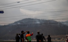 Cháy rừng lớn nhất lịch sử Hàn Quốc: điều tra một người tảo mộ